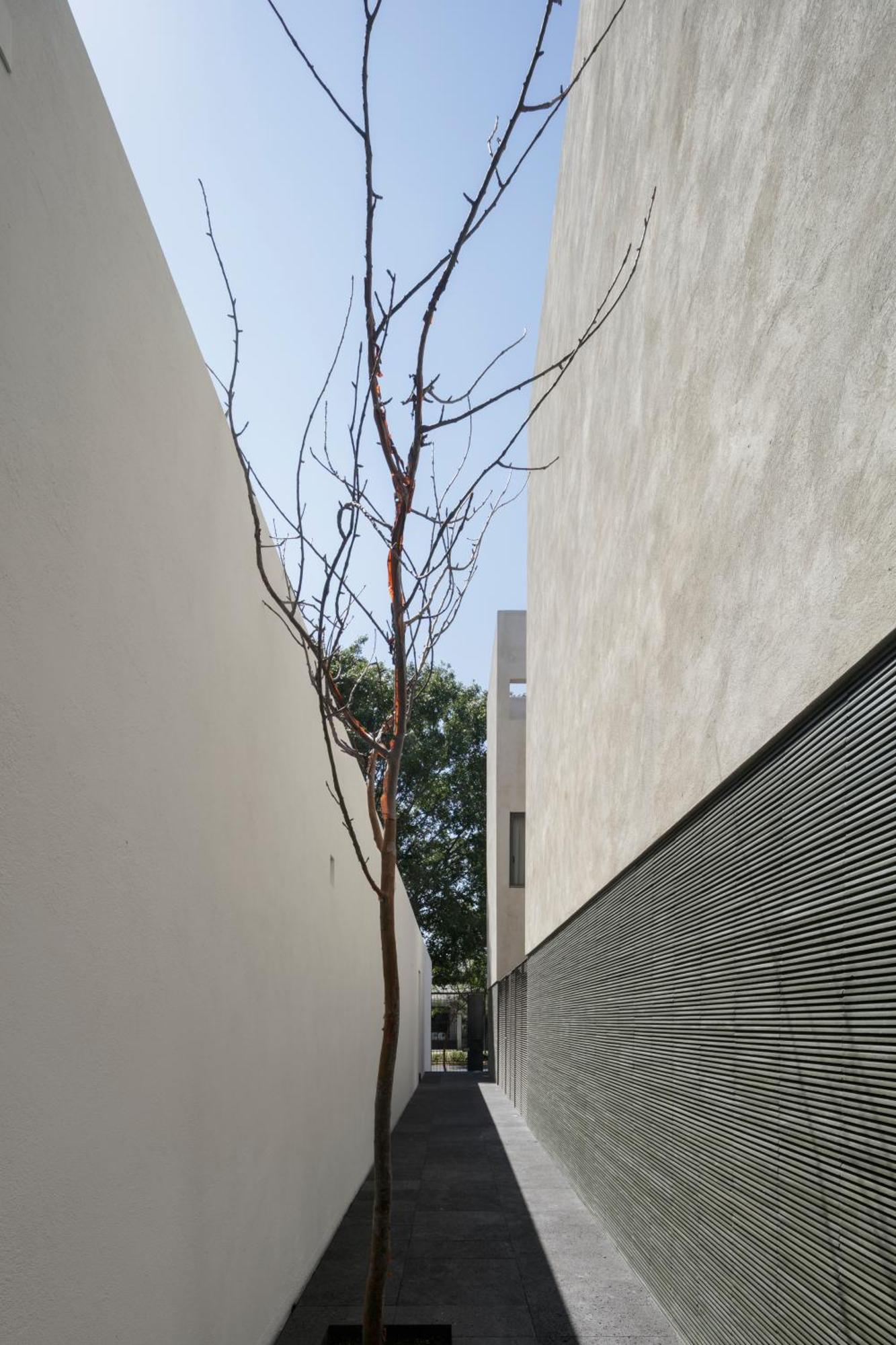 Suites Everness Guadalajara Kültér fotó