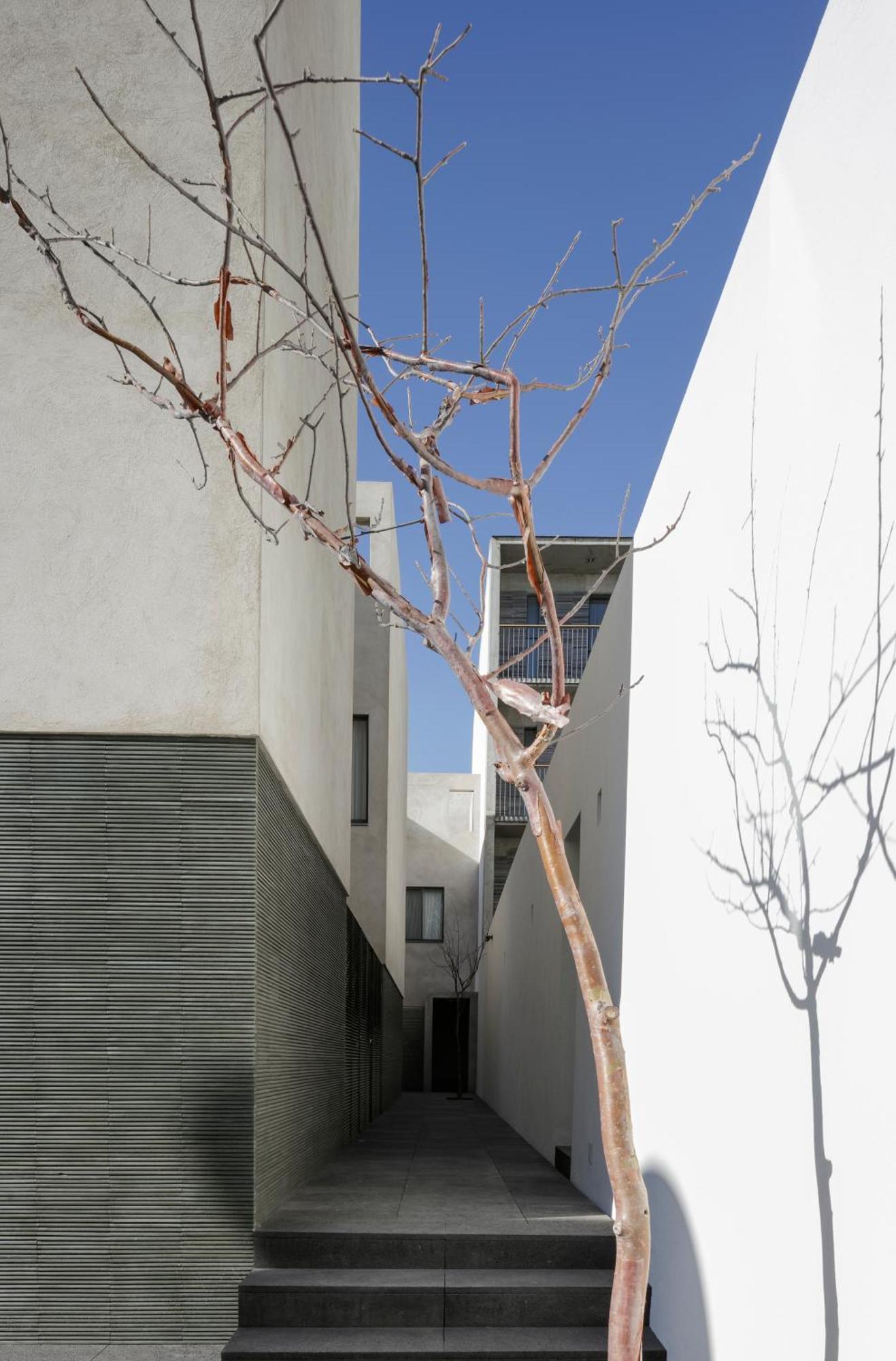 Suites Everness Guadalajara Kültér fotó
